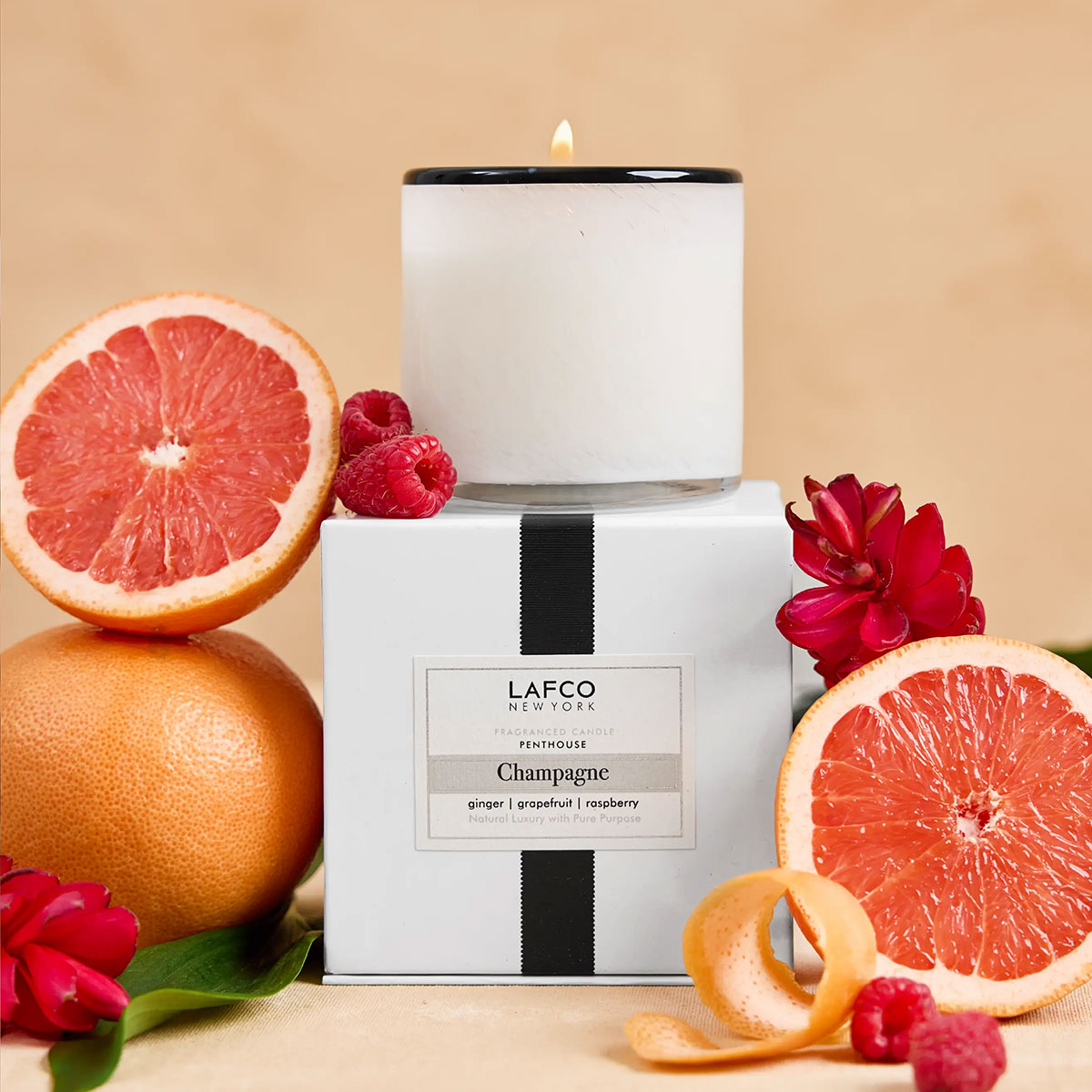 LAFCO candle with grapefruit, raspberry, and red flower on a beige background