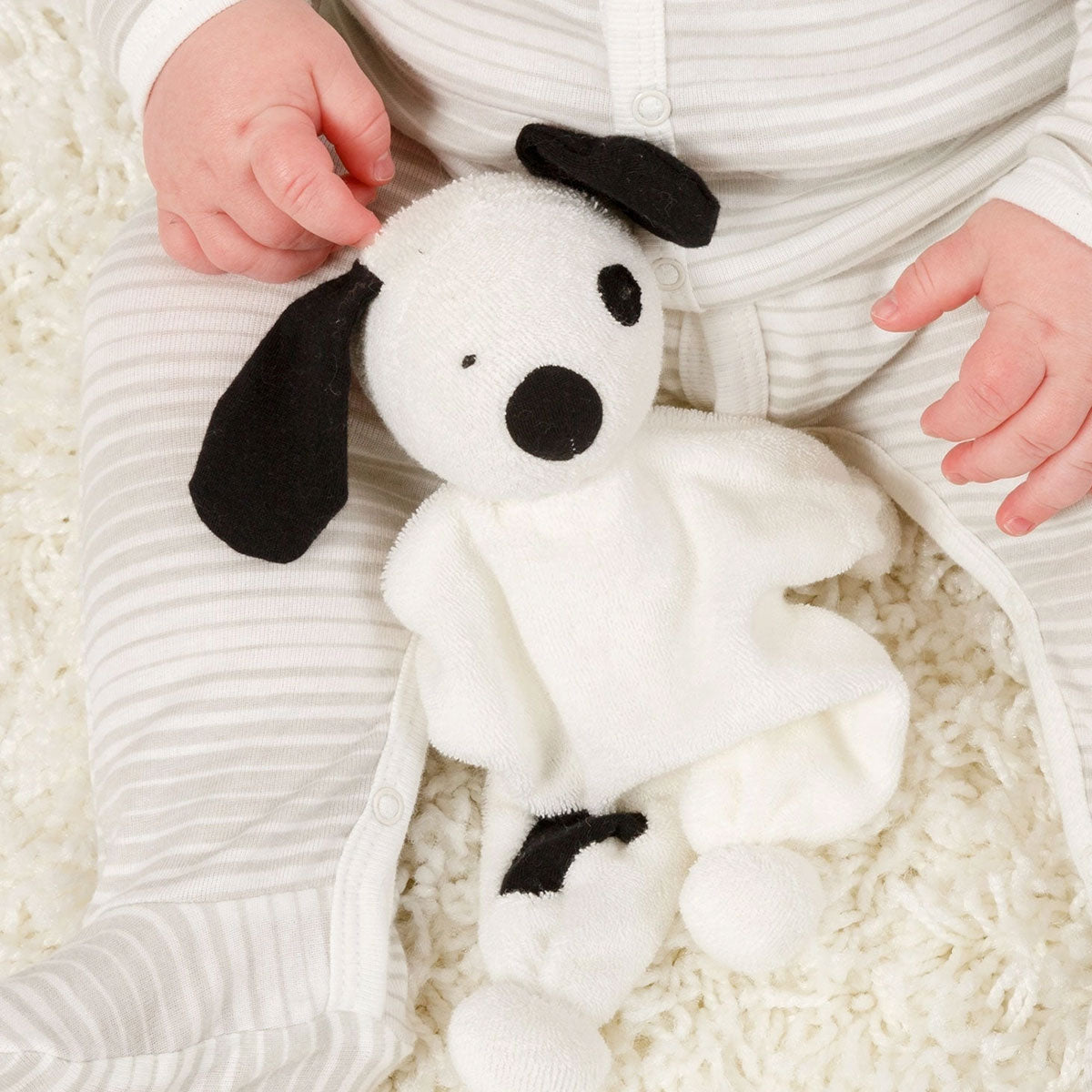 dog lovey on a baby's lap