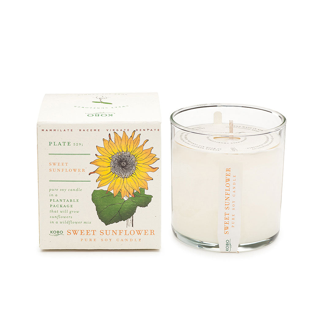 plant the box candle sweet sunflower scent and box featured in gardener's gift box