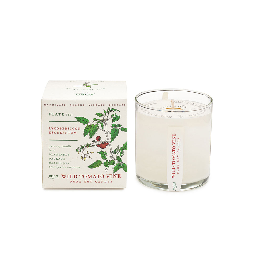 wild tomato vine - plant the box candle and the box both on a white background