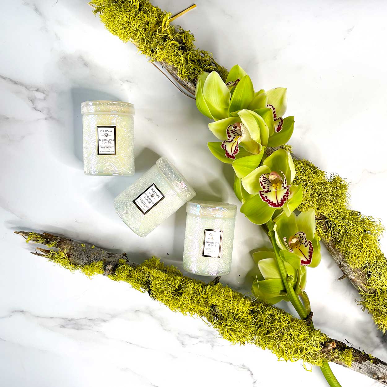 orchids with candle display