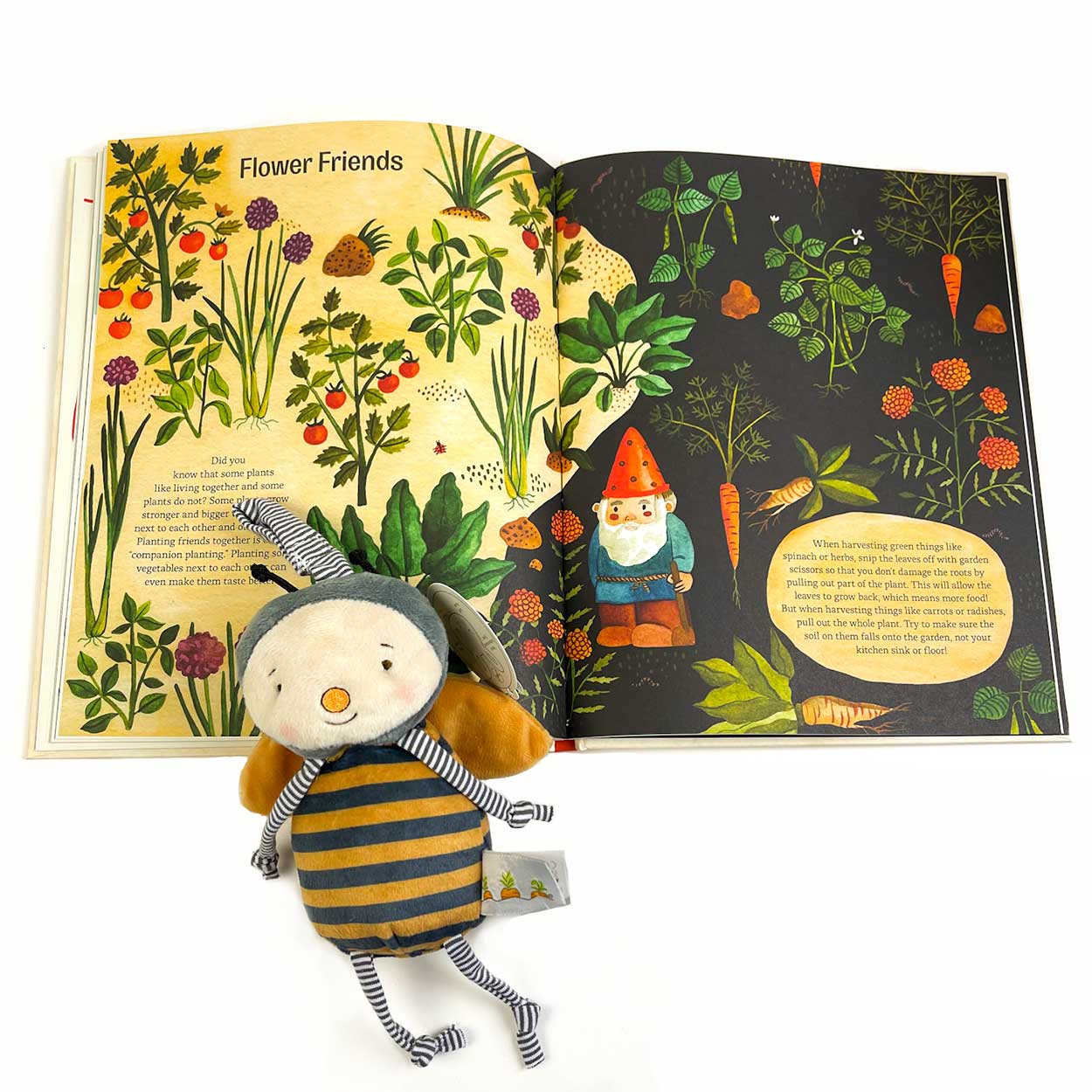 ekuBOX kid gardening set Childrens Gardening Kit Childrens Gardening Set : A Complete Guide and Set | ekuBOX