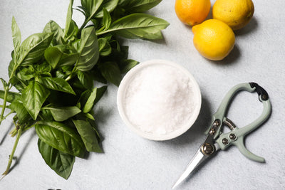 How to preserve herbs in salt.