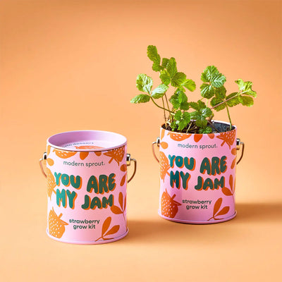 You are my Jam strawberry grow kit. Strawberry Fields Gift Box | ekuBOX Curated Gift Boxes