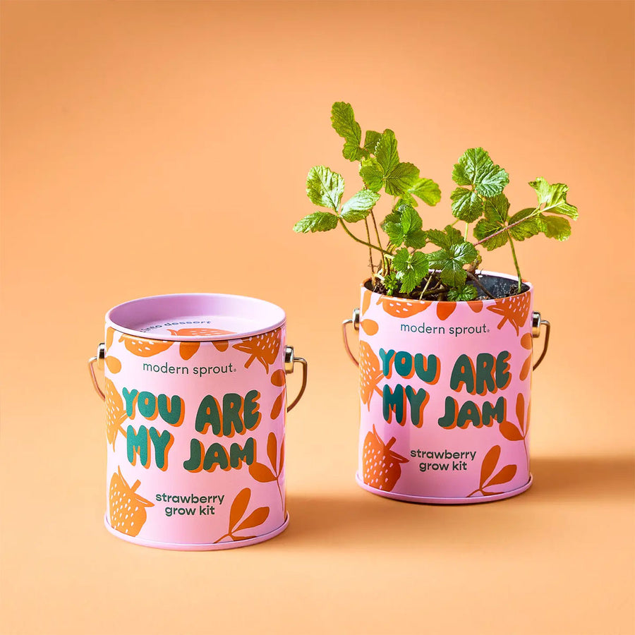 You are my Jam strawberry grow kit. Strawberry Fields Gift Box | ekuBOX Curated Gift Boxes