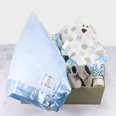 eku Box Baby Gift - baby boy Luxe Baby Boy The Ultimate Luxury Baby Gift Box for Boys | ekuBOX