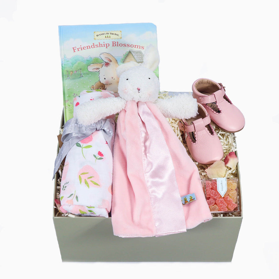 eku Box Baby Gift - Girl Welcome Baby - Girl Welcome Baby Gift Box - for the Newborn Baby Girl | ekuBOX