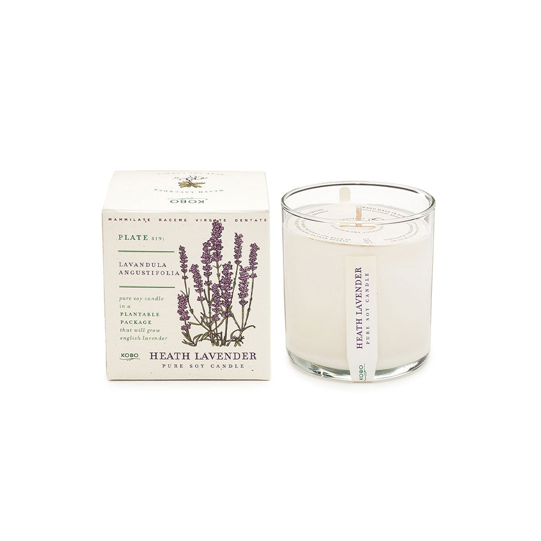 heath lavender -plant the box candle and the box on a white background