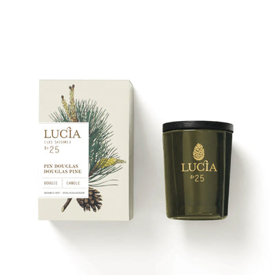 Lucçia candle and packaging with pine cone design on a white background