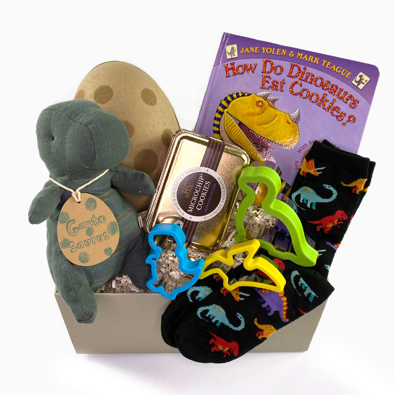 Dino-Mite! A dinosaur themed kids gift.